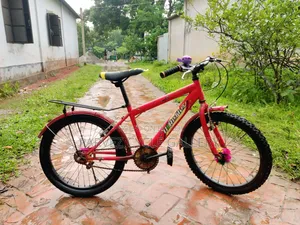 Reflex 20-inch Full Serviced Kids Cycle – New Everything | 4,500 BDT