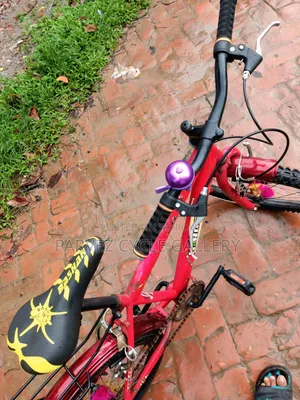 Reflex 20-inch Full Serviced Kids Cycle – New Everything | 4,500 BDT