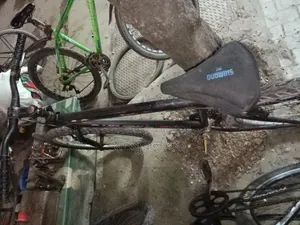 Cycle for Sale