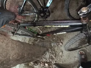 Cycle for Sale