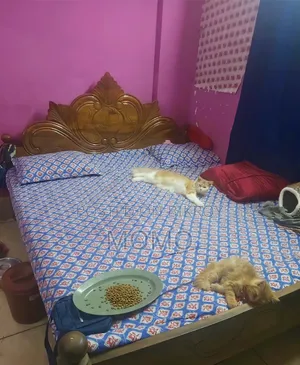 সম্পূর্ণ কাঠের খাট সেল করা হবে ৬/৭