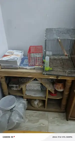 একুরিয়াম স্ট্যান্ড