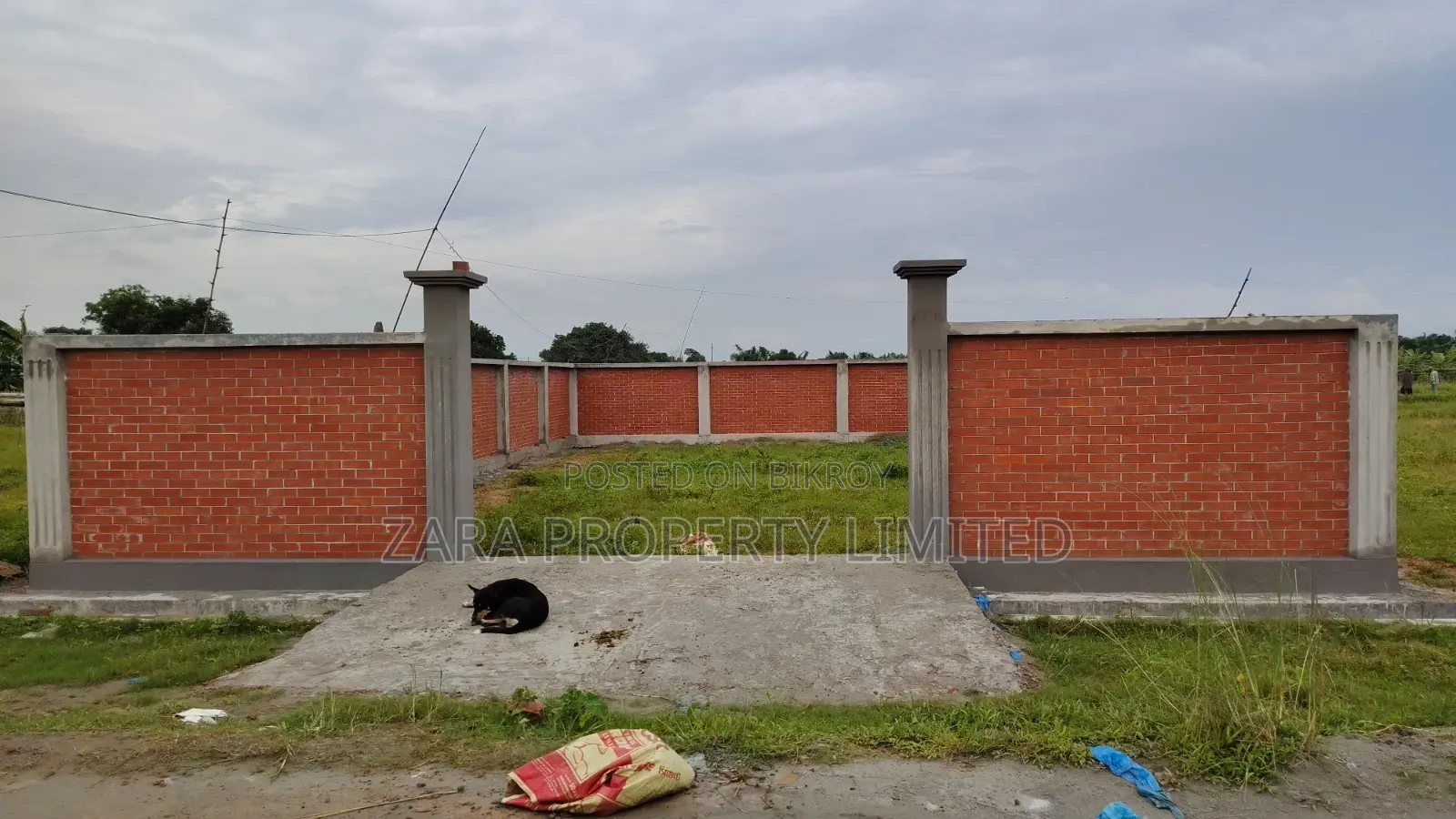 3 Katha West-Facing Plot in Sector 9 on a Budget