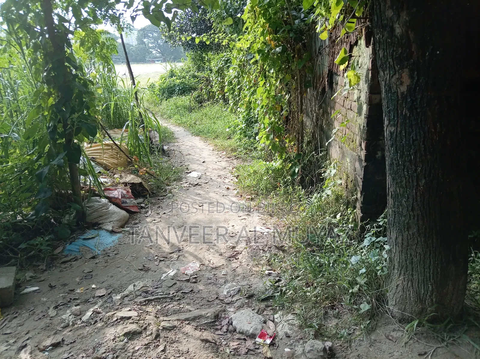 মোহাম্মদপুরের একদম কাছে আর্জেন্ট জমি বিক্রি।