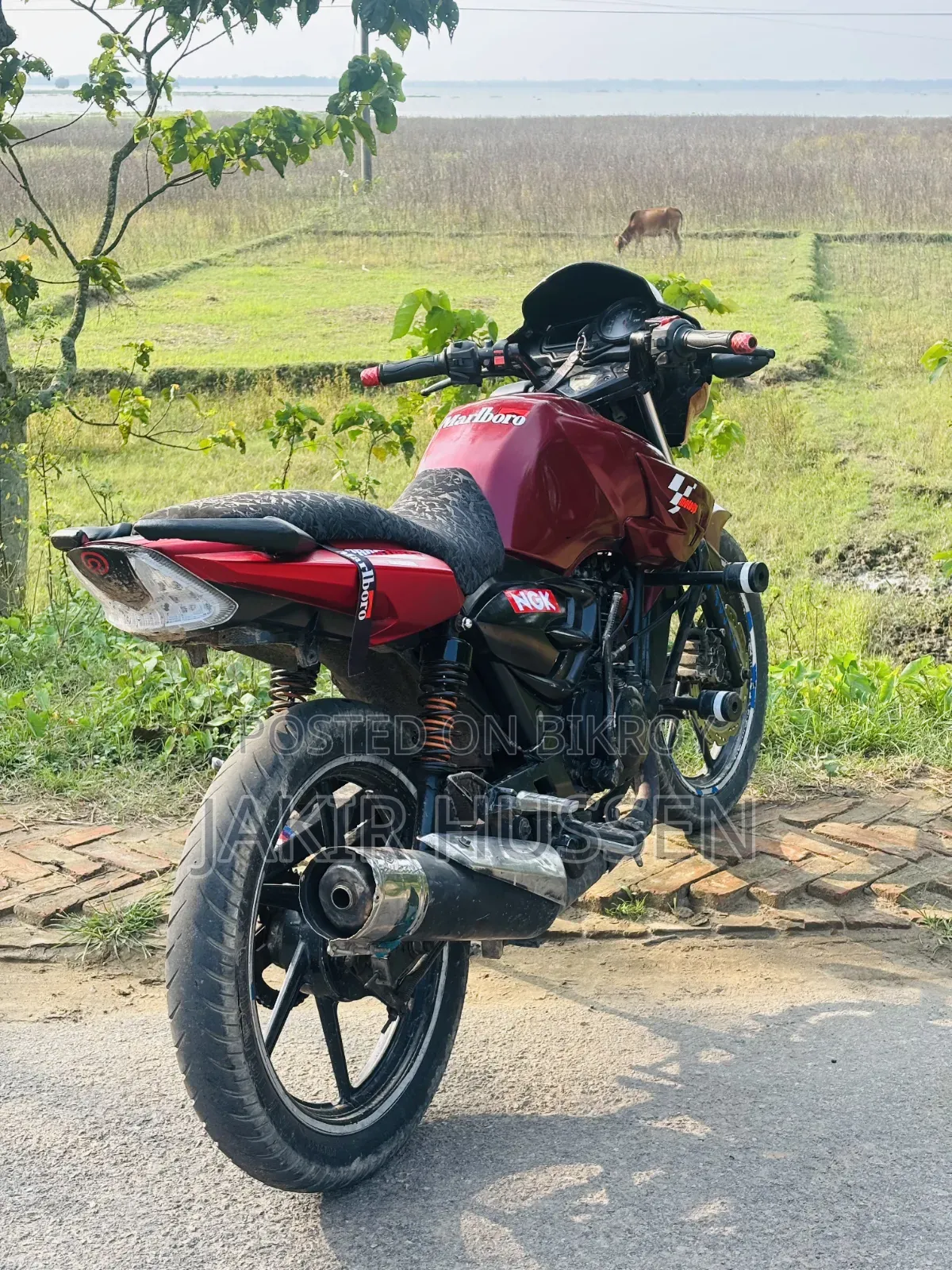 TVS Apache RTR 160 2V 2011 Red