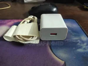 Xiaomi Original 33W Charger