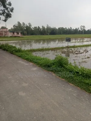 61 decimal land for sale by the roadside