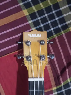 The Ukulele is brand new