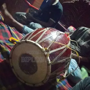 Musical Instrument