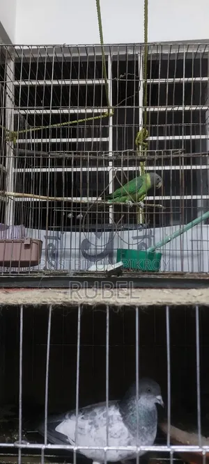 বিক্রি হবে