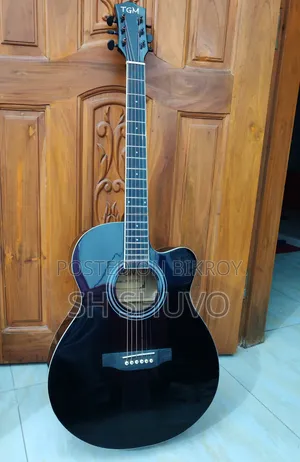 TGM Guitar