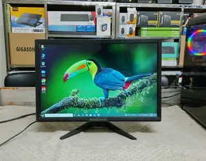 Gigasonic 19-inch HD Wide Screen LED Monitor | Full Fresh