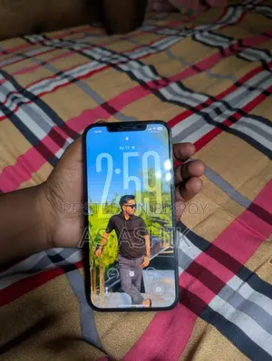Apple iPhone 12 Pro Max 256 GB Blue