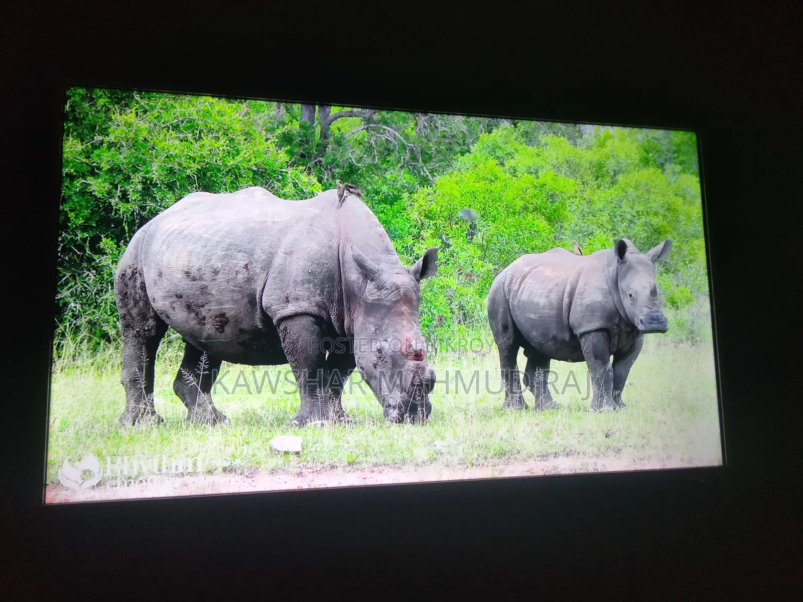 Jumuna Smart TV