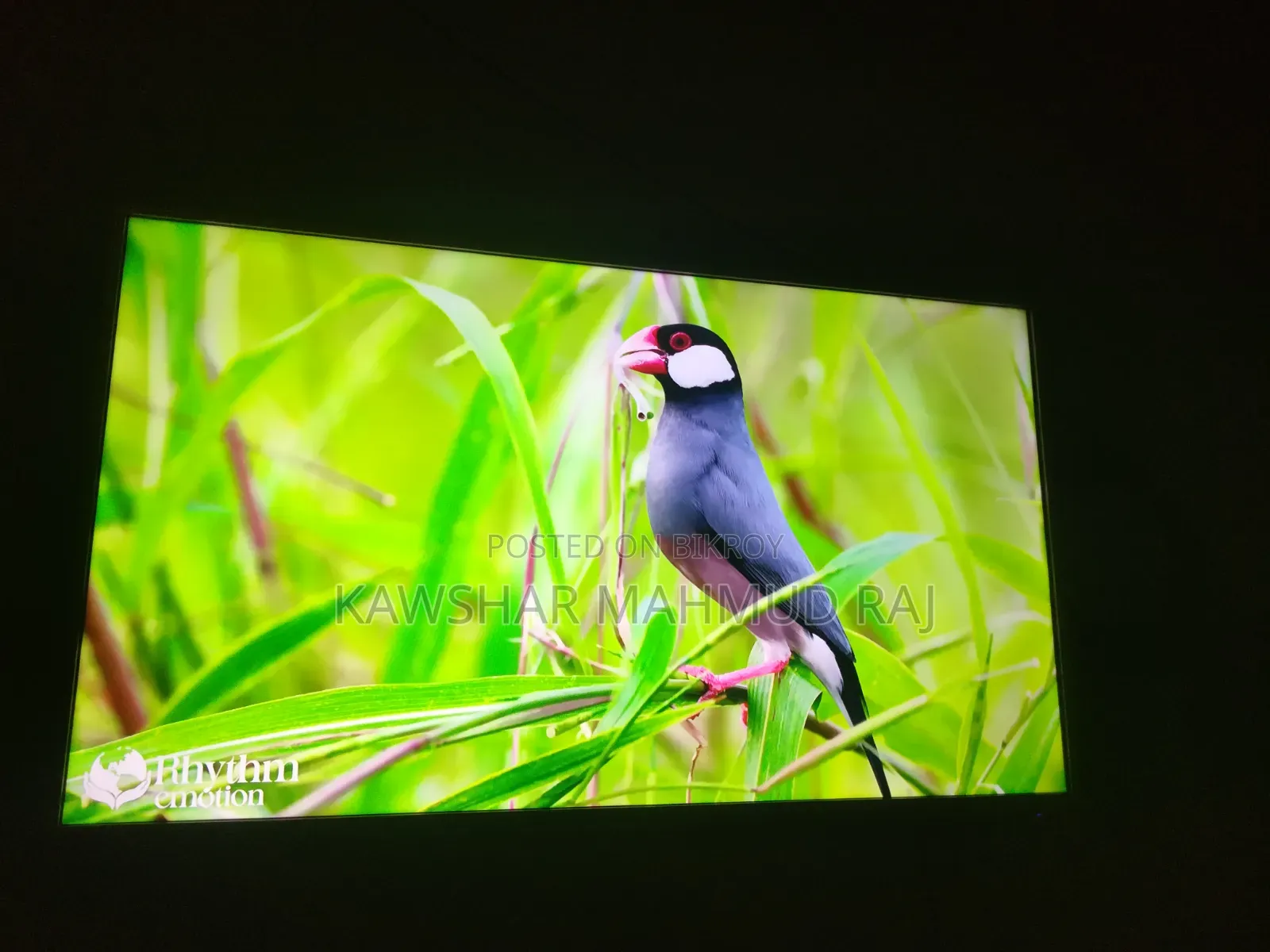 Jumuna Smart TV