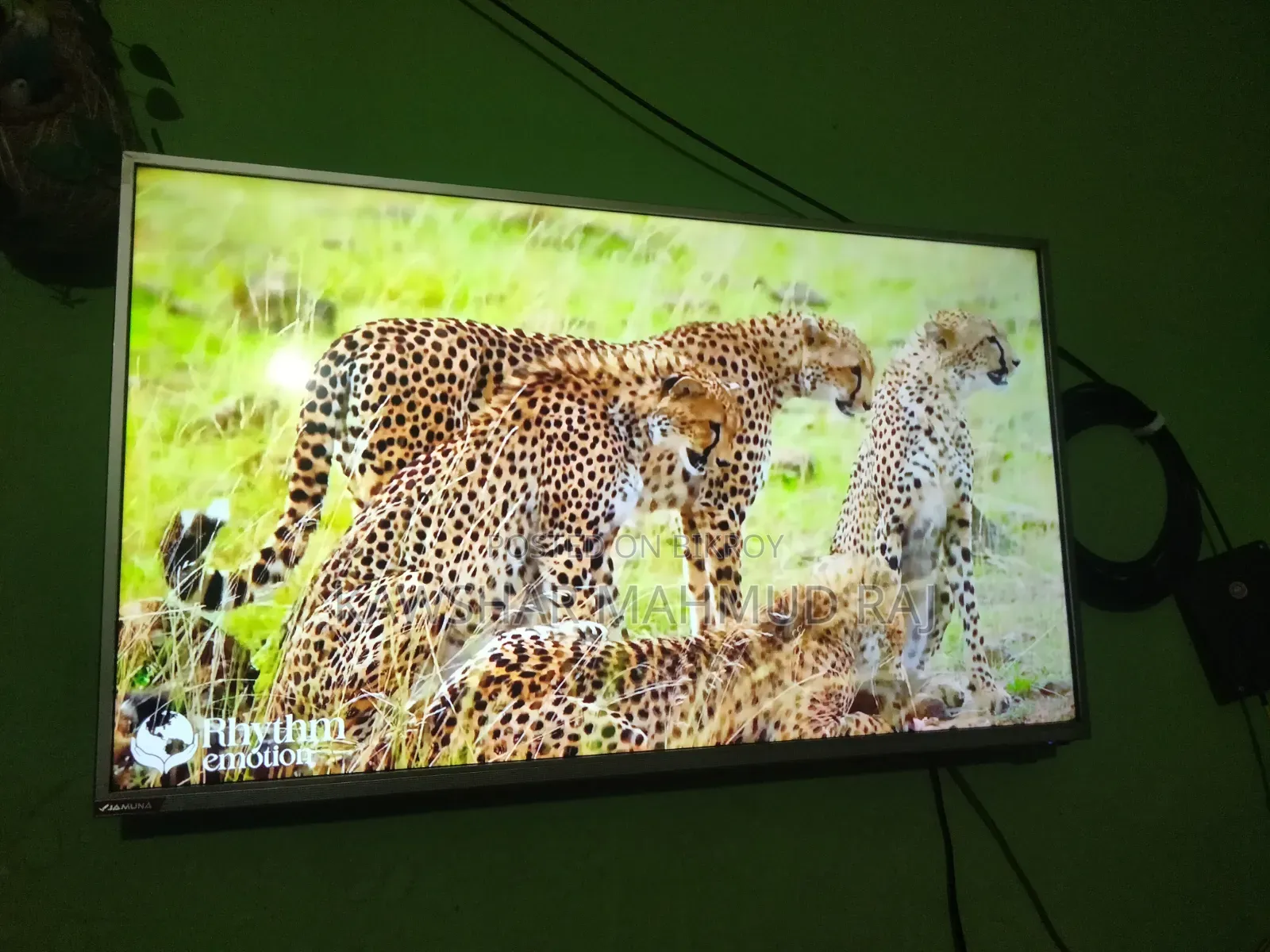 Jumuna Smart TV