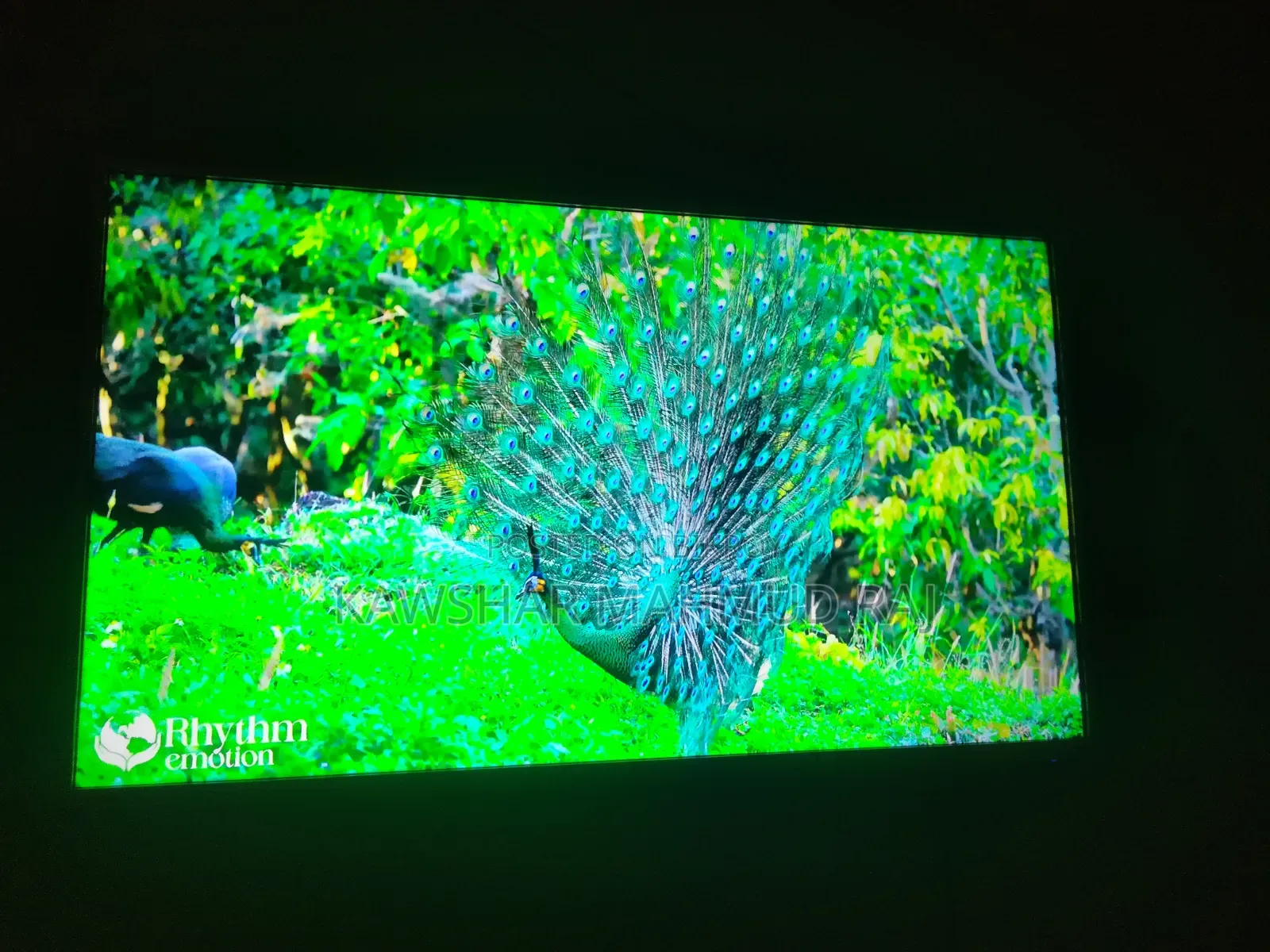 Jumuna Smart TV
