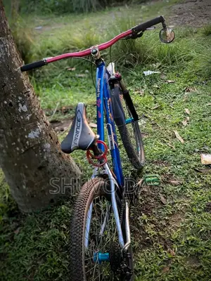 Gear Cycle