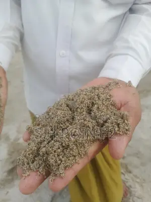 পন্চগড়ের বালু ০৩ ও ০৪ পয়েন্ট এর বালু ১৫৫০০ টাকা ট্রাক