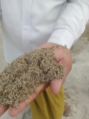 পন্চগড়ের বালু ০৩ ও ০৪ পয়েন্ট এর বালু ১৫৫০০ টাকা ট্রাক