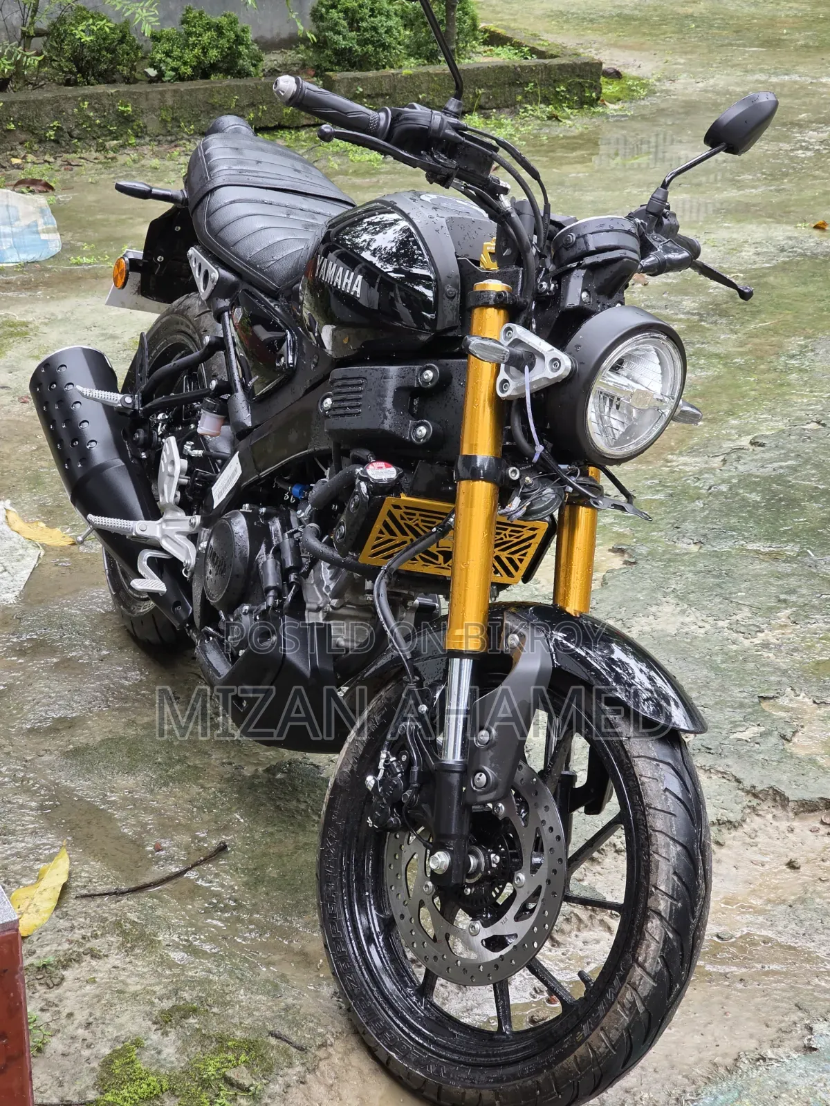 New Yamaha 2026 Black