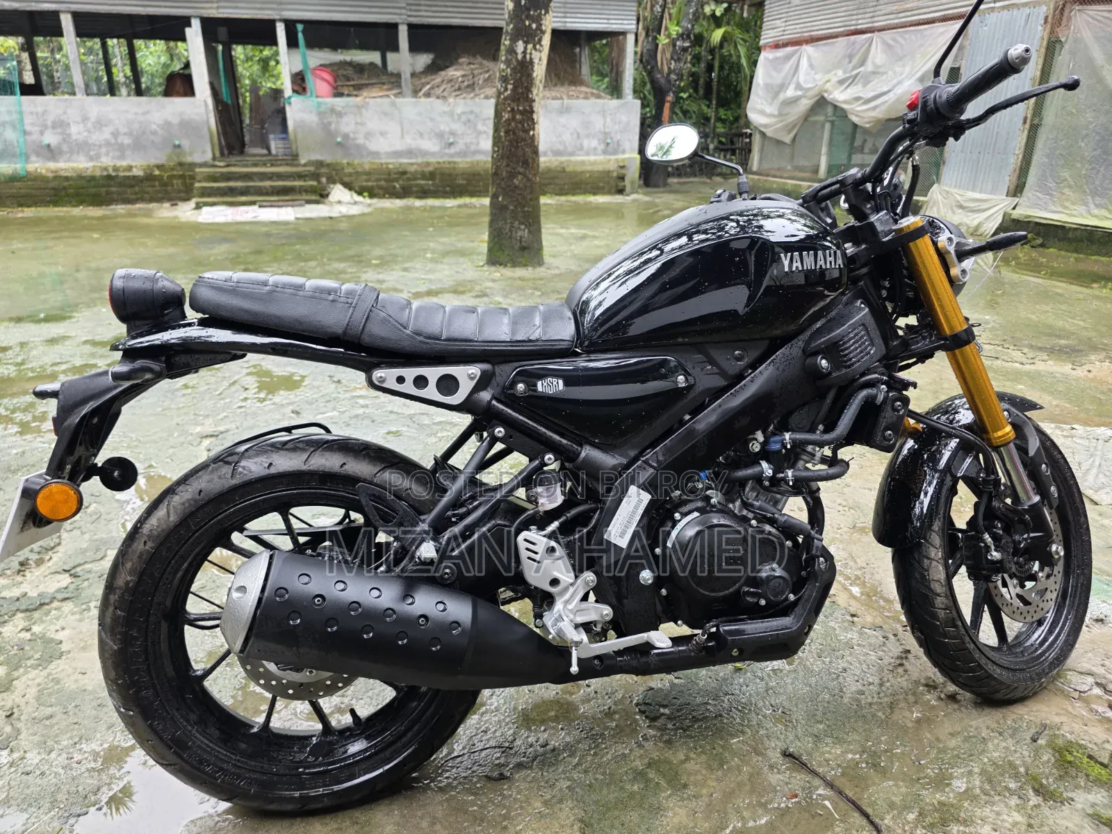 New Yamaha 2026 Black