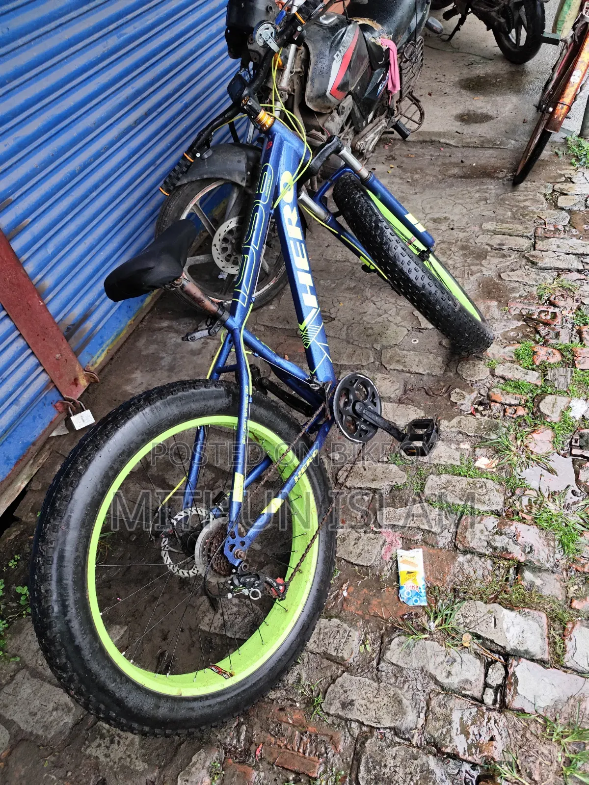 ফ্যাট সাইকেল