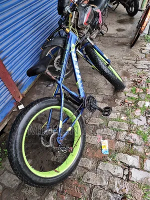 ফ্যাট সাইকেল