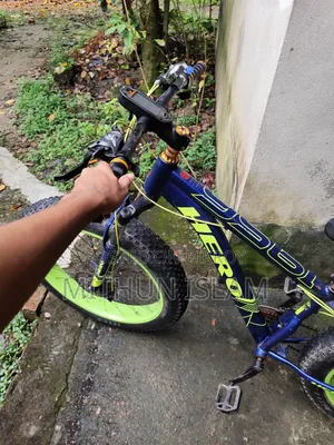 ফ্যাট সাইকেল