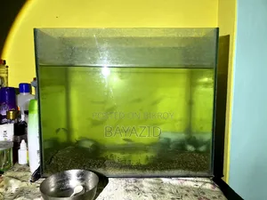 Aquarium Set