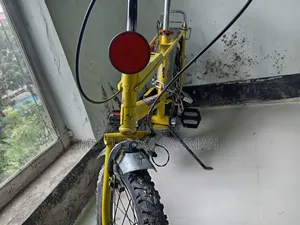 Vintage 20" Raleigh Chopper Bike Collectible Original