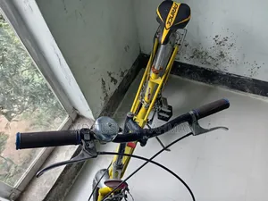 Vintage 20" Raleigh Chopper Bike Collectible Original