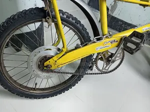 Vintage 20" Raleigh Chopper Bike Collectible Original