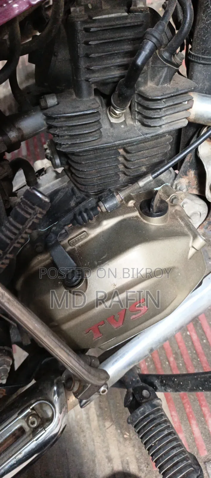 টিভিএস রেডিয়ান ২০১৯