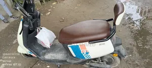 টেইলজি পেসসেটার ২০২৫ হোয়াইট