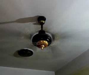 পাকিস্তানি সিলিং ফ্যান