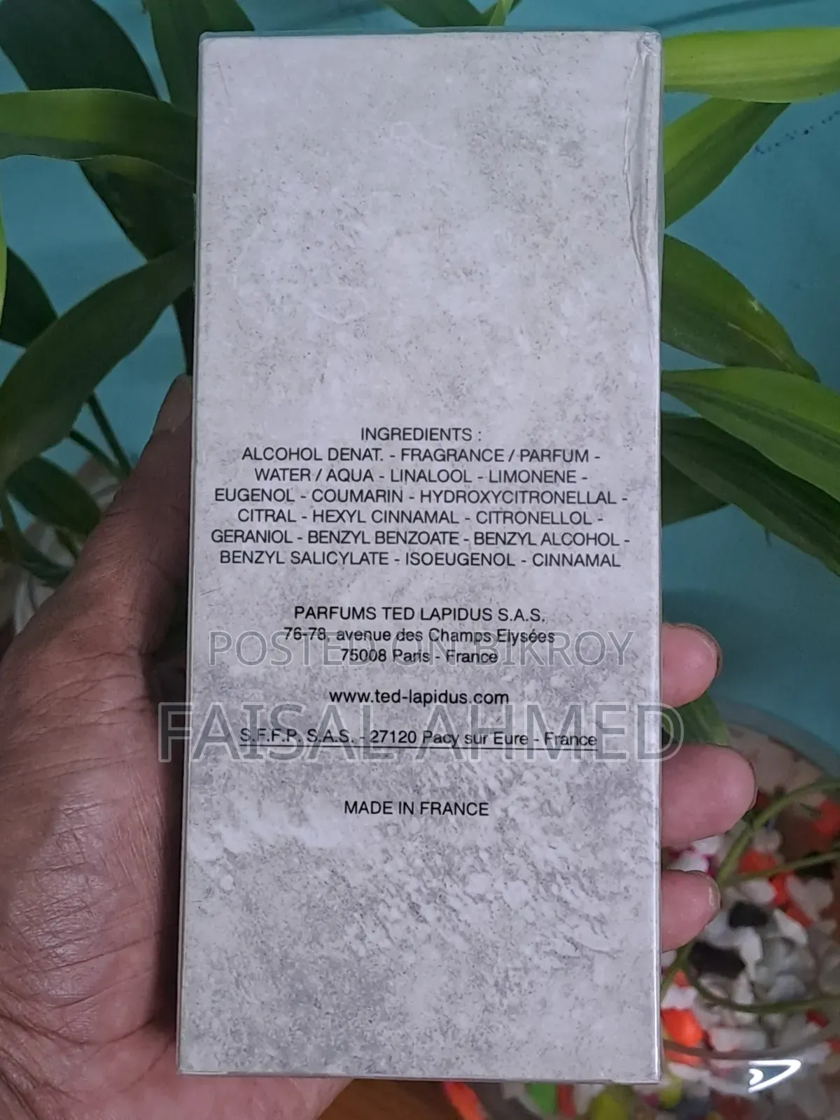 ল্যাপিদাস পোর হোম