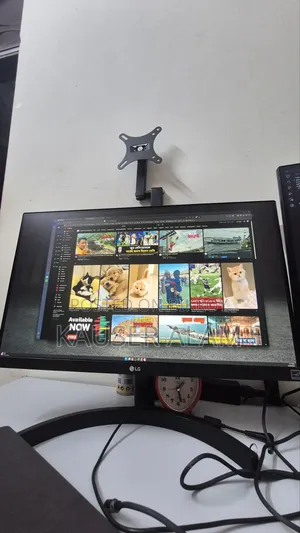 LG 22 Inch Monitor