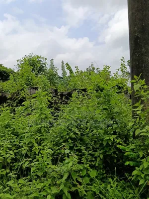 Very Urgent Sector 17K, 3 Katha Plot Sale