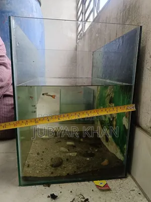 Aquarium 12/16