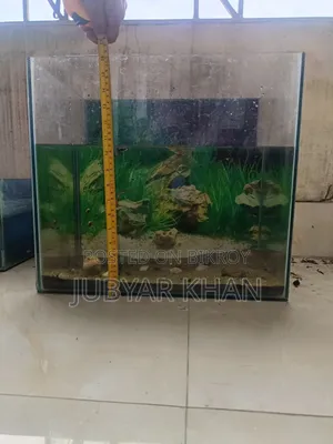 Aquarium 12/16