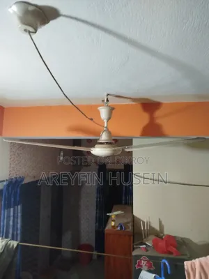 Ceiling Fan
