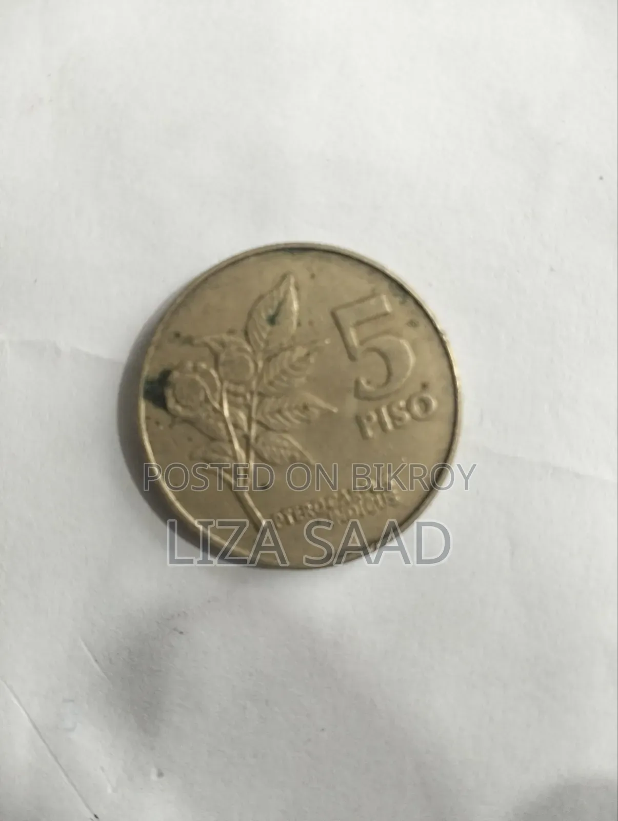5 Piso From 1993