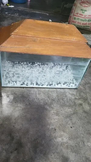 Aquarium