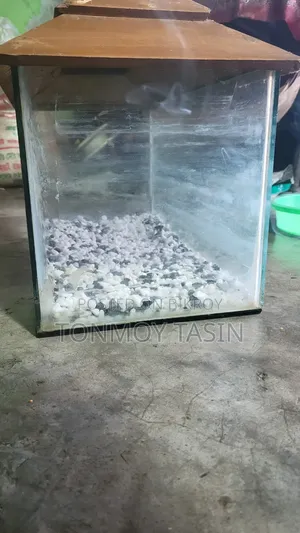 Aquarium
