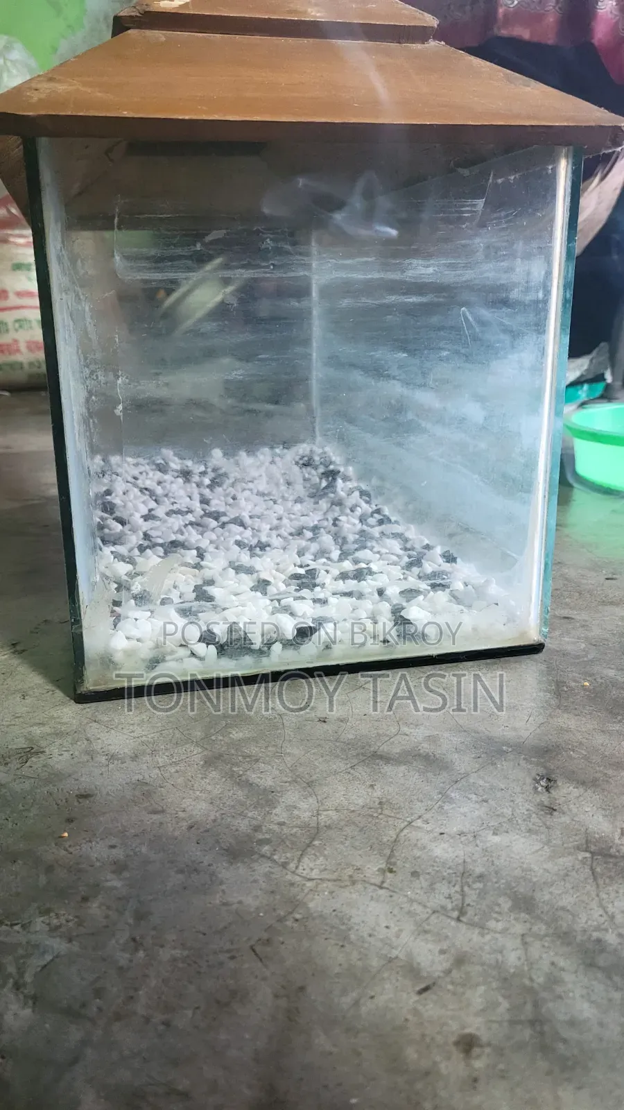 Aquarium