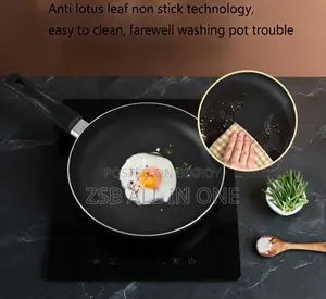 WJS Frying Pan