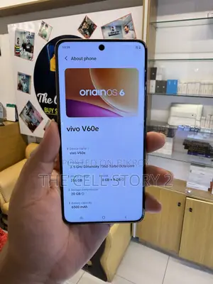 Vivo V60 256 GB Gray
