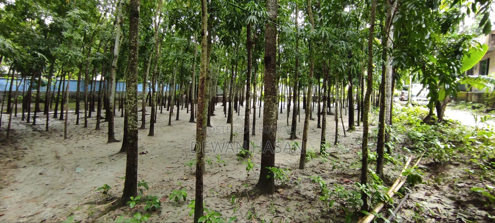 ১০ শতাংশ জায়গা বিক্রি হবে।
