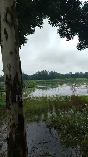 ১০ শতাংশ জায়গা বিক্রি হবে।
